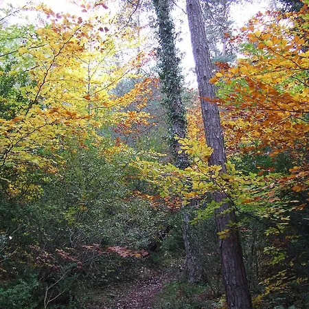 컨트리하우스 Lagun Etxea