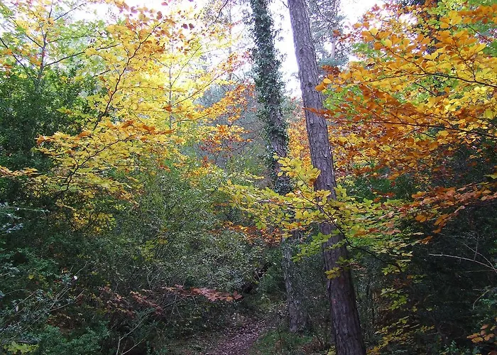 Εξοχικό σπίτι Lagun Etxea
